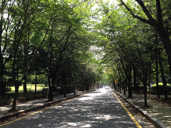 040915.JPG